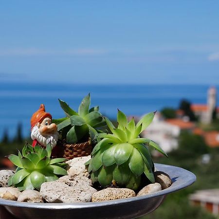 Apartments Mateljak Gradac  Εξωτερικό φωτογραφία