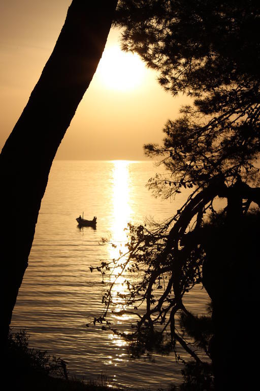 Apartments Mateljak Gradac  Εξωτερικό φωτογραφία