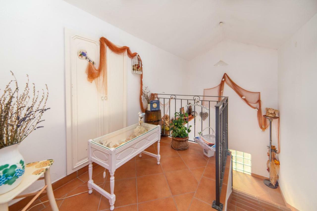 Apartments Mateljak Gradac  Εξωτερικό φωτογραφία