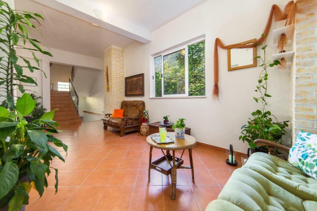 Apartments Mateljak Gradac  Εξωτερικό φωτογραφία